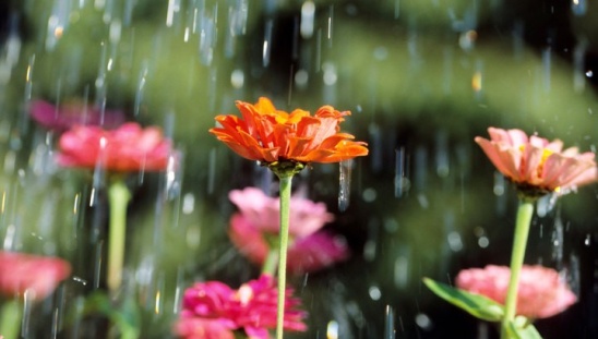 � ���������� �����!