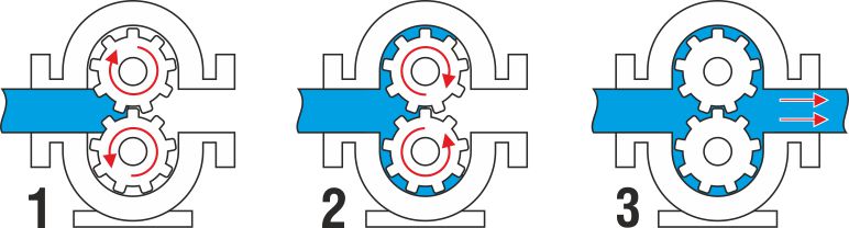 ����� ����������� 01