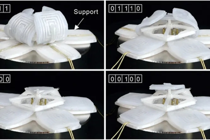 ������ ����������������